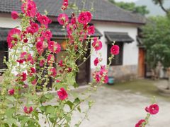 -石塘人家