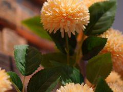 -花木兰·咖啡·茶铺