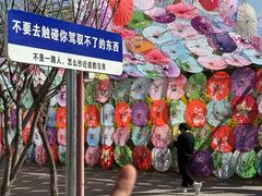 -河北村民俗体验园