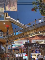 -卡通尼·Safari非洲探索乐园·生日会(金桥国际商业广场店)