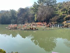 -宁波野生动物园