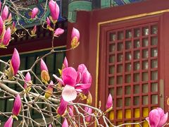 -潭柘寺景区