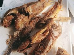 -彭记老妈蹄花(文化路店)