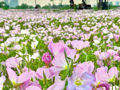 -汉长安城未央宫国家考古遗址公园