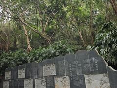 -南山植物园
