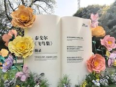 -西苑公园