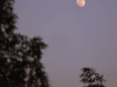 -公盂村