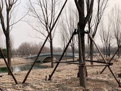 -东郊湿地公园