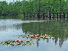 -白鹭湾湿地公园