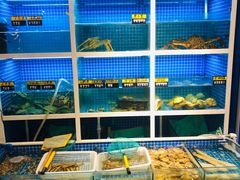 水产区-金龙·打边炉(南京西路店)