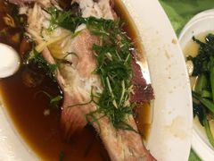东星斑-盛港湾海鲜食府(黄沙店)