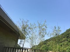 -天明山温泉大酒店