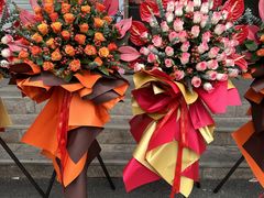 -曲阳花鸟市场(曲阳路店)