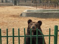 -秦皇岛野生动物园