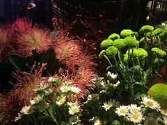 -胡桃里音乐餐厅(陶溪川店)(川湘赣菜·世界百大酒庄直供红酒·音乐表演)
