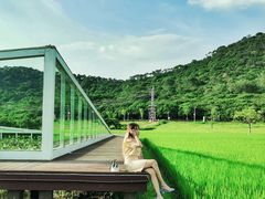 -艾米稻香小镇