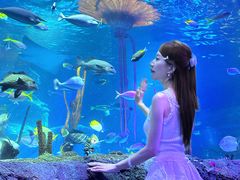 -沈阳海洋探索中心