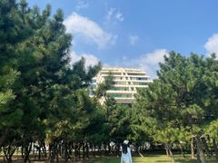 -日照灯塔风景区