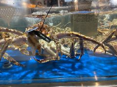 -盒马鲜生(顺义店)