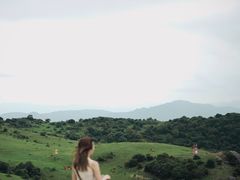 -大姆山草场