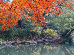 -惠山古镇·寄畅园