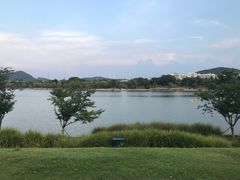 -羊山湖公园