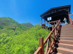 -大岭沟猕猴桃谷风景区