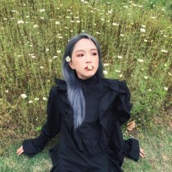 点击看大图 -斑斓色彩沙龙