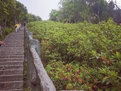 -梧桐山风景名胜区