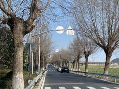 -上海佘山国家森林公园天马山园