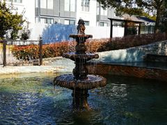 -广富林郊野公园