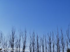 -西昌邛海湿地