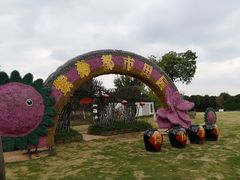 -武汉紫薇都市田园