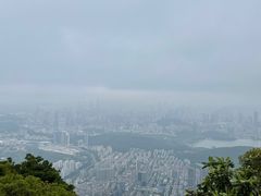 -梧桐山风景名胜区