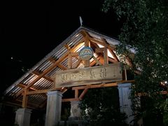 -腾冲洞山温泉村
