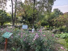 -广西壮族自治区药用植物园