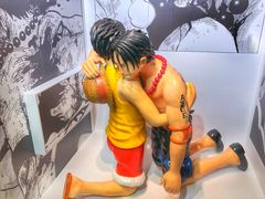 -东京塔海贼王主题公园