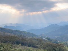 -广州市石门国家森林公园