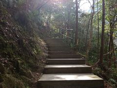 -宁波五龙潭景区