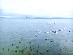 -深圳湾公园(南山区)