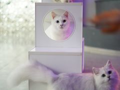 -极木²邸 人与宠物·互动社区