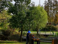 -前小桔亲子创意农场·草莓采摘·露营烧烤