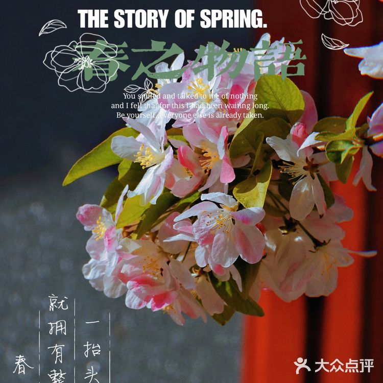 🌸京城赏花攻略|北土城地铁口,让你免费拥抱海棠花海🌷