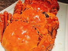 古法金缕蟹-南京大牌档(中关村领展广场店)