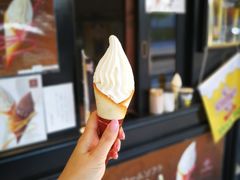 -轻井泽王子购物广场