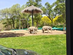 -北京野生动物园