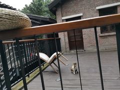 -山城巷传统风貌区
