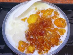 桃胶雪燕椰奶-百花传统甜品店(原址店)