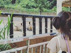 -泉州海丝野生动物世界