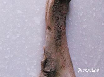 因为狗狗们不能吃盐和其他调料。所以用清水炖好